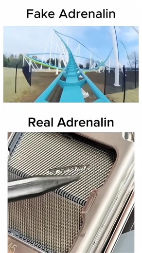 "Real Adrenalin 💀 " #pcgaming #benchmark #rtx5050