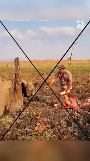 Thank you for saving her #animals #loveanimals