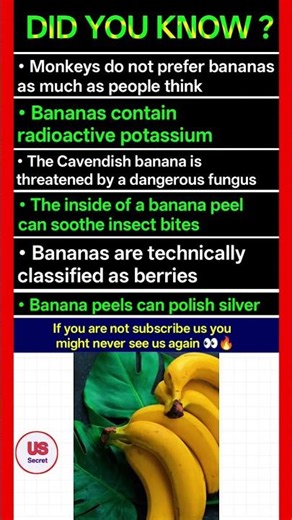Banana Facts That Will Surprise You
