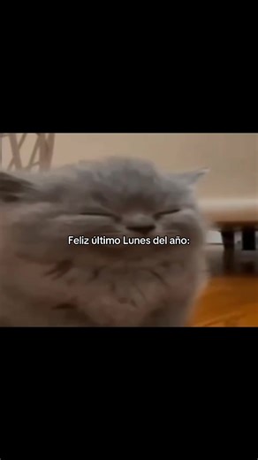 Feliz Último Lunes del Año: Celebremos Juntos
