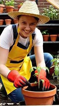 Build a Mini Greenhouse – Grow Fresh Veggies Anywhere