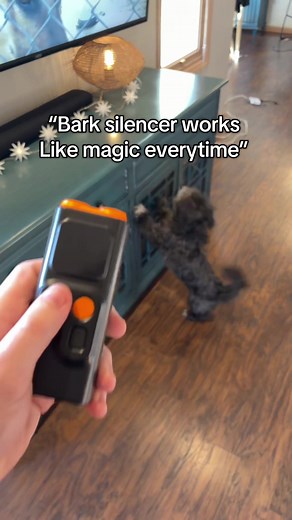Effective Barking Device for Dog Behavior Management