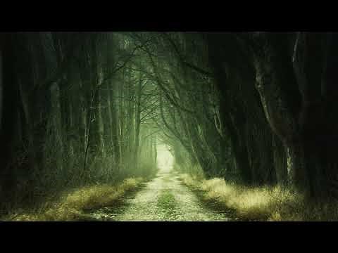 Best green screen Background Free Download