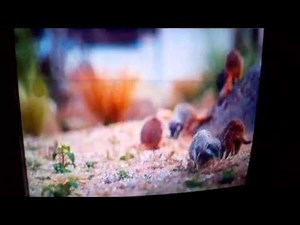 Ad Break - ITV1 (2013, UK)