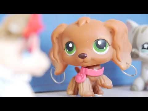 LPS: Furbulous (Episode 1: Beverly Brawl)