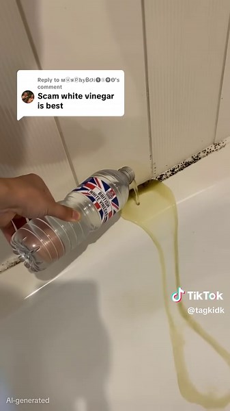 Testing Mould Removal Tips for Busy Mums