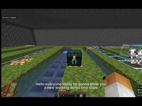 [NOT PATCHED] NEW DUPE DONUT SMP! Link In Comments