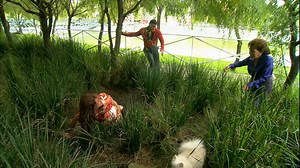 💫 𝗦𝗢𝗥𝗧𝗜𝗟𝗘𝗚𝗘‍🩹 Episode 5️⃣9️⃣ 𝐿𝑎 𝑝𝑜𝑙𝑖𝑐𝑒 𝑖𝑛𝑡𝑒𝑟𝑟𝑜𝑔𝑒 𝑅𝑎𝑞𝑢𝑒𝑙; 𝐴𝑙𝑒𝑗𝑎𝑛𝑑𝑟𝑜 𝑙𝑒𝑢𝑟 𝑑𝑖𝑡 𝑞𝑢𝑒 𝑙𝑒 𝑚𝑒́𝑑𝑒𝑐𝑖𝑛 𝑎 𝑝𝑟𝑒𝑠𝑐𝑟𝑖𝑡 𝑑𝑒𝑠 𝑡𝑟𝑎𝑛𝑞𝑢𝑖𝑙𝑙𝑖𝑠𝑎𝑛𝑡𝑠 𝑎̀ 𝑅𝑎𝑞𝑢𝑒𝑙 𝑒𝑡 𝑞𝑢'𝑖𝑙𝑠 𝑎𝑢𝑟𝑎𝑖𝑒𝑛𝑡 𝑑𝑢̂ 𝑑𝑒𝑚𝑎𝑛𝑑𝑒𝑟 𝑎𝑢 𝑚𝑒́𝑑𝑒𝑐𝑖𝑛 𝑎𝑣𝑎𝑛𝑡 𝑑𝑒 𝑙'𝑖𝑛𝑡𝑒𝑟𝑟𝑜𝑔𝑒𝑟. 𝑅𝑎𝑞𝑢𝑒𝑙 𝑑𝑖𝑡 𝑎̀ 𝑉𝑖𝑐𝑡𝑜𝑟𝑖𝑎 𝑒𝑡 𝐴𝑙𝑒𝑗𝑎𝑛𝑑𝑟𝑜 𝑞𝑢'𝑒𝑙𝑙𝑒 𝑎 𝑏𝑙𝑒𝑠𝑠𝑒́ 𝑅𝑜𝑏𝑒𝑟𝑡𝑜 𝑝𝑎𝑟𝑐𝑒 𝑞𝑢'𝑖𝑙 𝑙'𝑎 𝑏𝑟𝑎𝑦𝑒́𝑒 