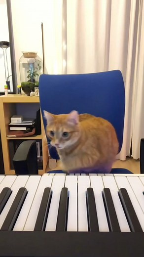 SUPERMASSIVE sur TikTok