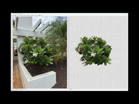 NEW! PRO Landscape+ AI Cutout Tool – Add Plants or Objects Instantly
