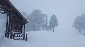 Atención amigos del Llaima !! Estamos trabajando a full en el camino, mañana estará condicionado a doble traccion y a primera hora estaremos informando como estará el acceso para vehiculos tracción simple. Siempre con porte de cadenas. La nieve llegó y ahora a disfrutar de las Araucarias y la naturaleza !!!! ☃️❄️❄️❄️❄️❄️⛄️ (Imágenes captadas hace pocos minutos) #volcanllaima #vivelanaturaleza | Ski Araucarias - Volcán LLaima