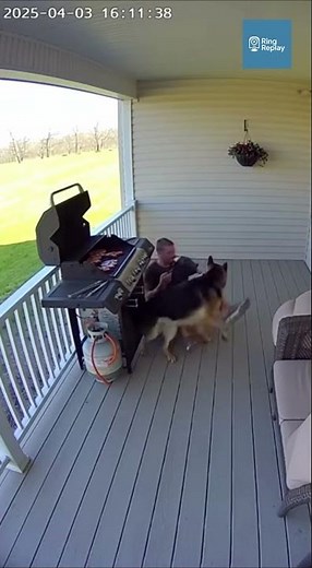 German Shepherd Pulls Owner Away Moments Before Porch Grill Explosion Ignites