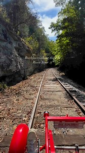 One of the many hidden gems along the Elk River Tour 🏔️ #railexplorersusa #ridetherails #almostheaven | Rail Explorers USA