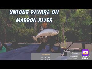 Marron River Unique Payara Challenge