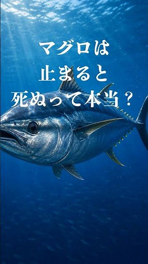 Is it true that tuna die if they stop moving? #tuna #fish