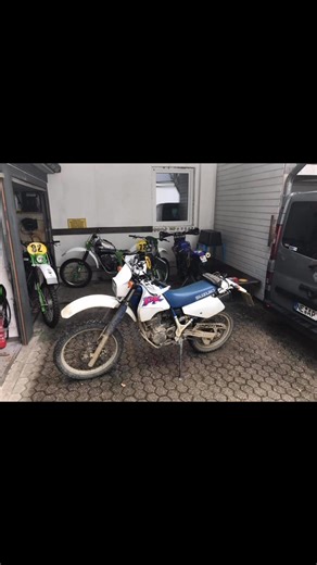 3.8K views · 64 reactions | Peter Wolf on Reels | Facebook