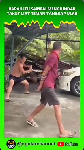 Bapak itu tangkap ular tapi temannya lari #viral #short #ular #hewan #ularsawah