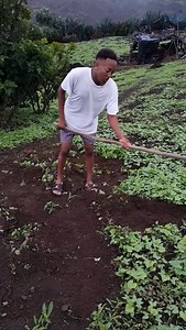 😂😂😂 Cc : @aniltondedeus2001 | Cape Verdean