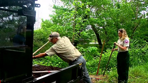 Hendersonville designated a Tree City USA, receives growth award for level of tree care
