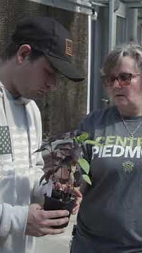 Find your place at Central Piedmont— Book a tour today!