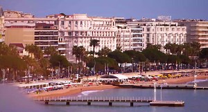 41K views · 224 reactions | 11,000 participants; 3,900 buyers; 1,600+...