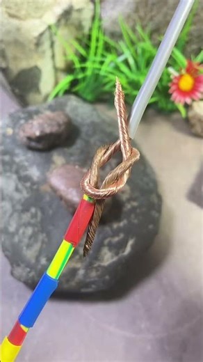Old Electrician Live Wire Connection Tips #shortvideo #wireworks