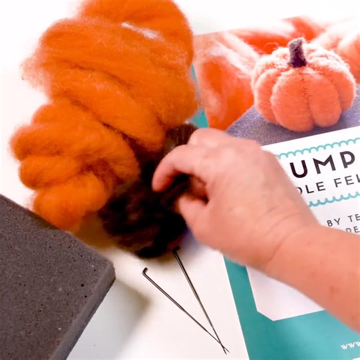 Pumpkin Needle Felting Kit - Beginner - Etsy