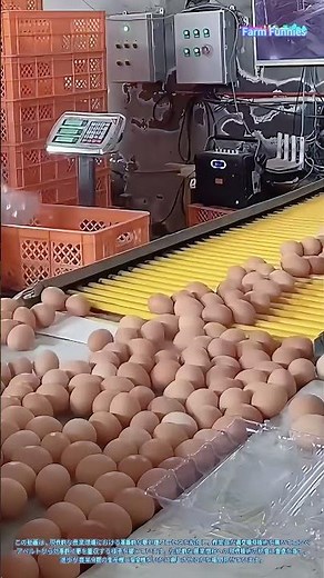 現代的な卵処理の技術：真空吸引技術