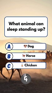 158K views · 7.6K reactions |  Animal Sleep Quiz #quiz #fun #brainteaser #puzzle | Pediabox Lagecy | Facebook