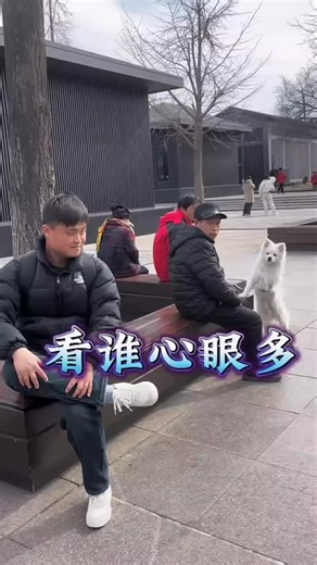 dog sound prank Their reaction are crazy 😧 #animetiktok #funnyanimals #prankwithdogs #dogs