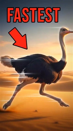 Top 4 FASTEST Animals That Outspeed Cars 😱⚡(The Last One Is Wild) #animals #animalfacts #speed