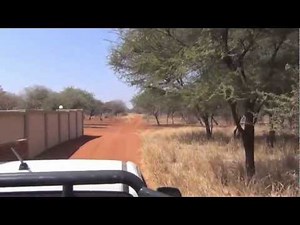 Bow Hunting South Africa