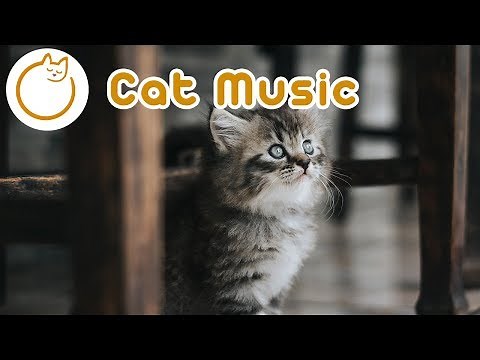 EXTREMELY Soothing Relaxation Music for Cats and Humans!
