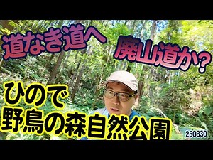 『ひので野鳥の森自然公園』東京都西多摩郡日の出町平井：廃山道に行ってしまう！