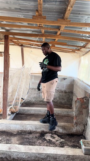 Start Your Own Maggot Production Today