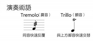 演奏術語- Trill.（顫音）與Tremolo（震音） - 知音音樂教室