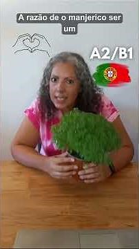 🧠❓Por que razão se dá um manjerico nas festas ds Santos Populares?