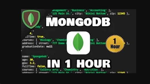 2024 一小时掌握 MongoDB 🍃