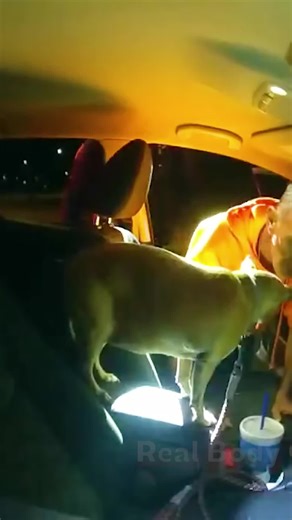 Navy SEAL's Crazy Night: Coyote, Knife & Cop Drama! #copsusa #cops #police #police #fyp