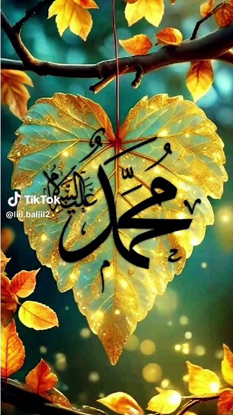 liil baliil على TikTok