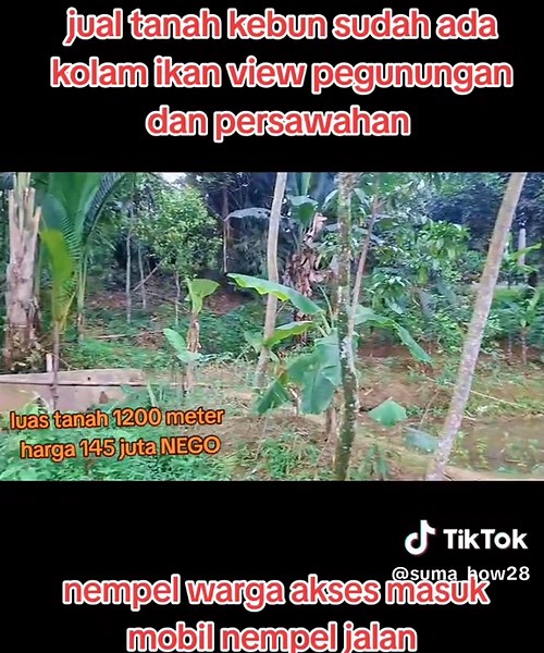 Dijual tanah kebon ada duren & Ada kolam ikan nempel penduduk view persawahan Luas tanah 1,200 Meter legalitas surat Sppt girik bisa Harga jual 145 juta nego Akses mobil nempel jalan desa Lokasi di bogor barat info langsung whtsap 08568426124 #promomakangajian #fypviral #jualtanah #tanahmurah #viral