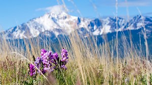 Colorado History: A look at the 1st recorded ascent of Pikes Peak 199 years later