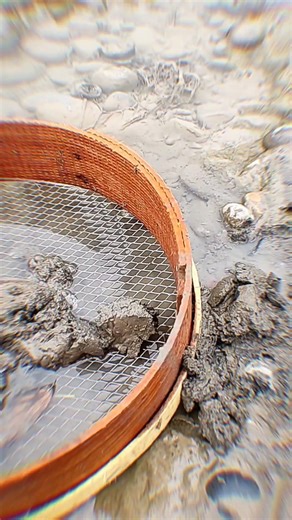 I Found $5,000 Raw Gold in a Rock!