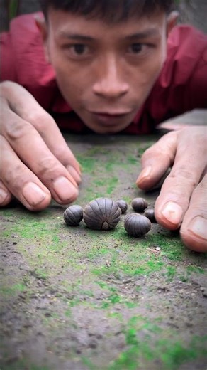 The cute Pill millipede king is surrounded by his five pawns #pillmillipede