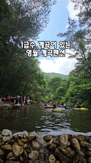 영월 엄둔밸리계곡펜션에서의 완벽한 여름휴가