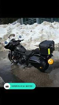 #포메라니안 #메리 #바이크 #레블1100 #메리와 행복한 라이딩 #주문진 #대관령휴게소 #태기산 #안흥찐빵