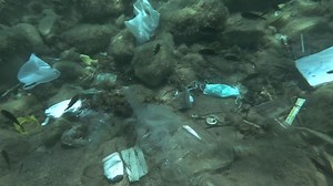 Discarded PPE filling up landfills and oceans