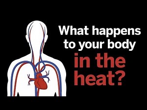 Runners, what happens to your body in the heat?