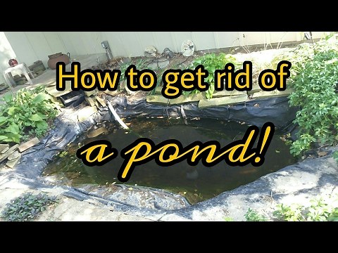 Backyard koi pond removal - get rid of your garden pond!