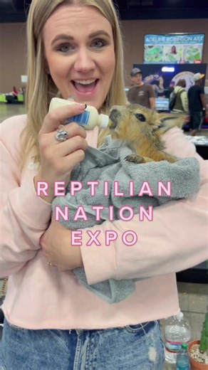 Highlights from Reptilian Nation Expo: An Exciting Reptile Showcase